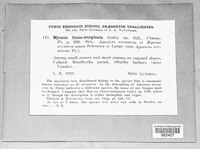 Image Associated With the Occurence
